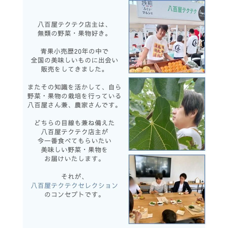 アスパラガス 5束 福井県産 八百屋テクテクセレクション 産直 生産者指定 クール冷蔵便 本州・ 四国は送料無料 |  | 14