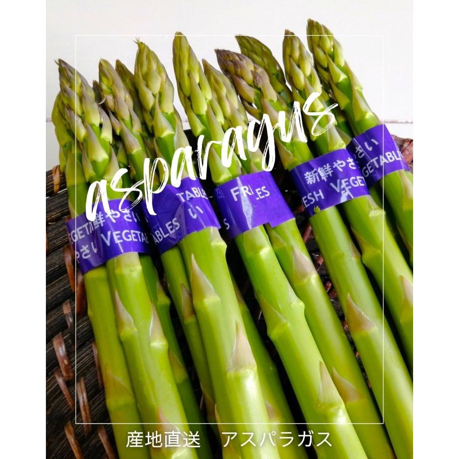 アスパラガス 5束 福井県産 八百屋テクテクセレクション 産直 生産者指定 クール冷蔵便 本州・ 四国は送料無料 |  | 01