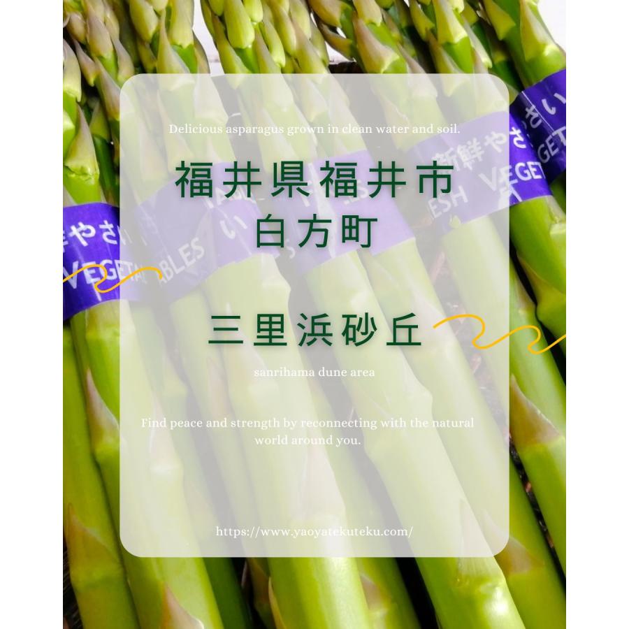 アスパラガス 5束 福井県産 八百屋テクテクセレクション 産直 生産者指定 クール冷蔵便 本州・ 四国は送料無料 |  | 02