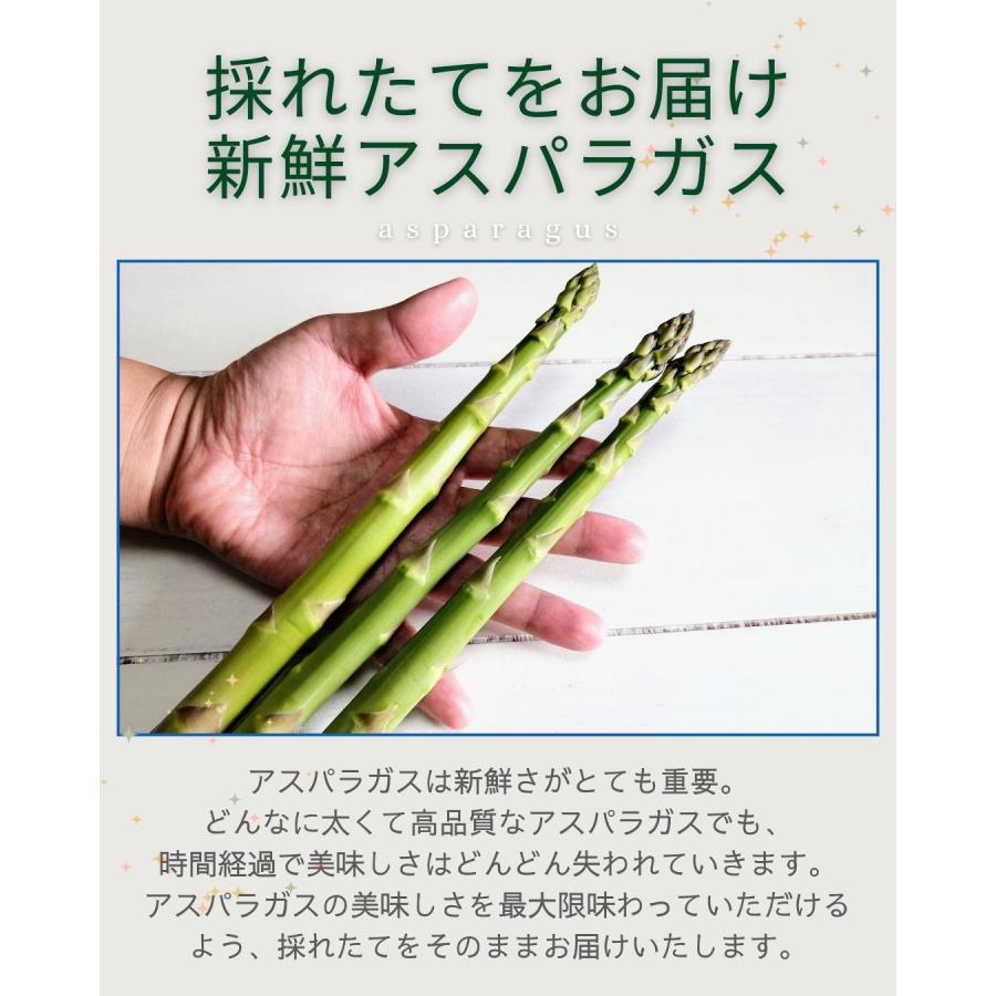 アスパラガス 5束 福井県産 八百屋テクテクセレクション 産直 生産者指定 クール冷蔵便 本州・ 四国は送料無料 |  | 03