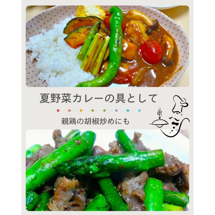 アスパラガス 5束 福井県産 八百屋テクテクセレクション 産直 生産者指定 クール冷蔵便 本州・ 四国は送料無料 |  | 06