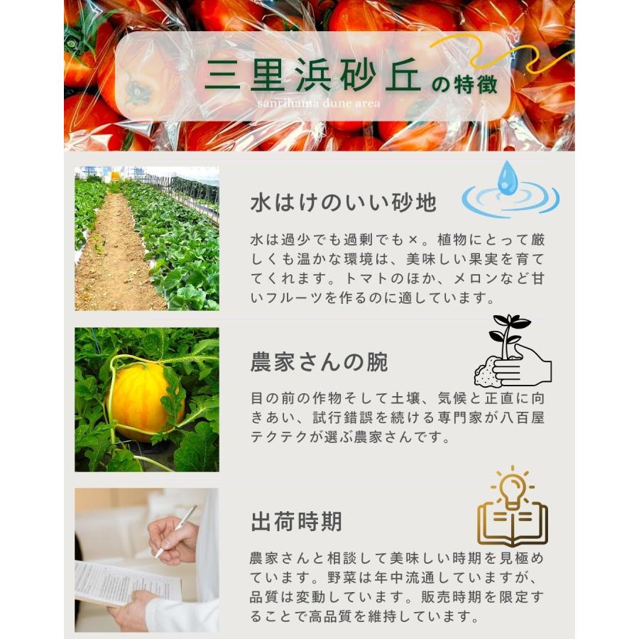 アスパラガス 5束 福井県産 八百屋テクテクセレクション 産直 生産者指定 クール冷蔵便 本州・ 四国は送料無料 |  | 07