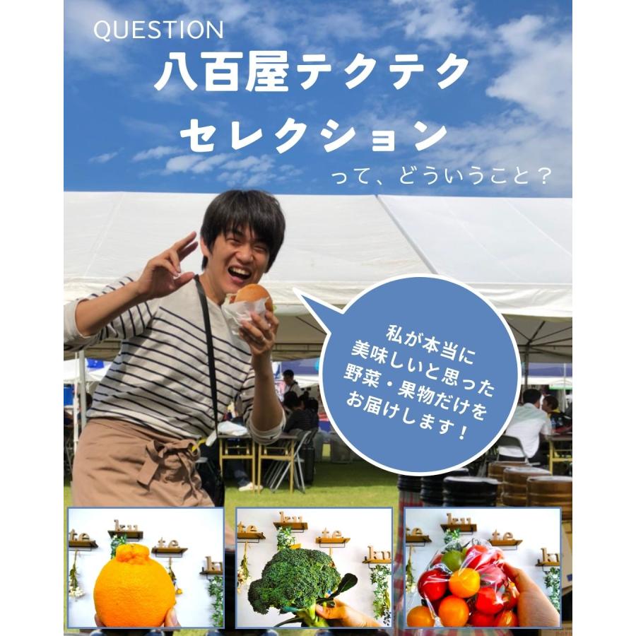 ベビーリーフ 福井県産 農園たや 福井県産 生産者指定 八百屋テクテクセレクション クール冷蔵便 本州・四国は送料無料 商品説明書同封 |  | 14