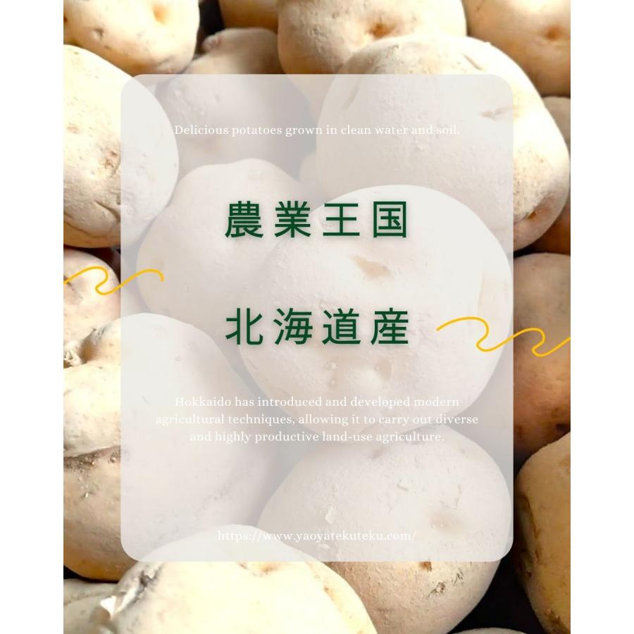 男爵いも 北海道産 じゃがいも 馬鈴薯 約3キロ 八百屋テクテクセレクション |  | 02