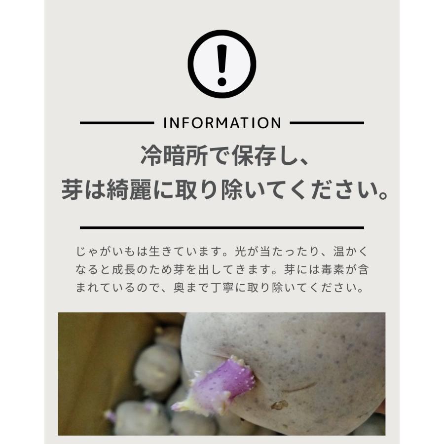 男爵いも 北海道産 じゃがいも 馬鈴薯 約3キロ 八百屋テクテクセレクション |  | 08