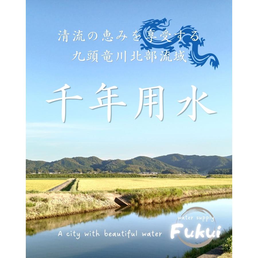 おひさまコーン 10本 スイートコーン とうもろこし 福井県産 生産者指定 産地直送 八百屋テクテクセレクション クール冷蔵便 |  | 13