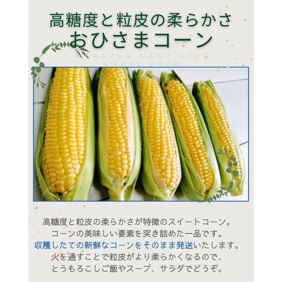 おひさまコーン 10本 スイートコーン とうもろこし 福井県産 生産者指定 産地直送 八百屋テクテクセレクション クール冷蔵便 |  | 03