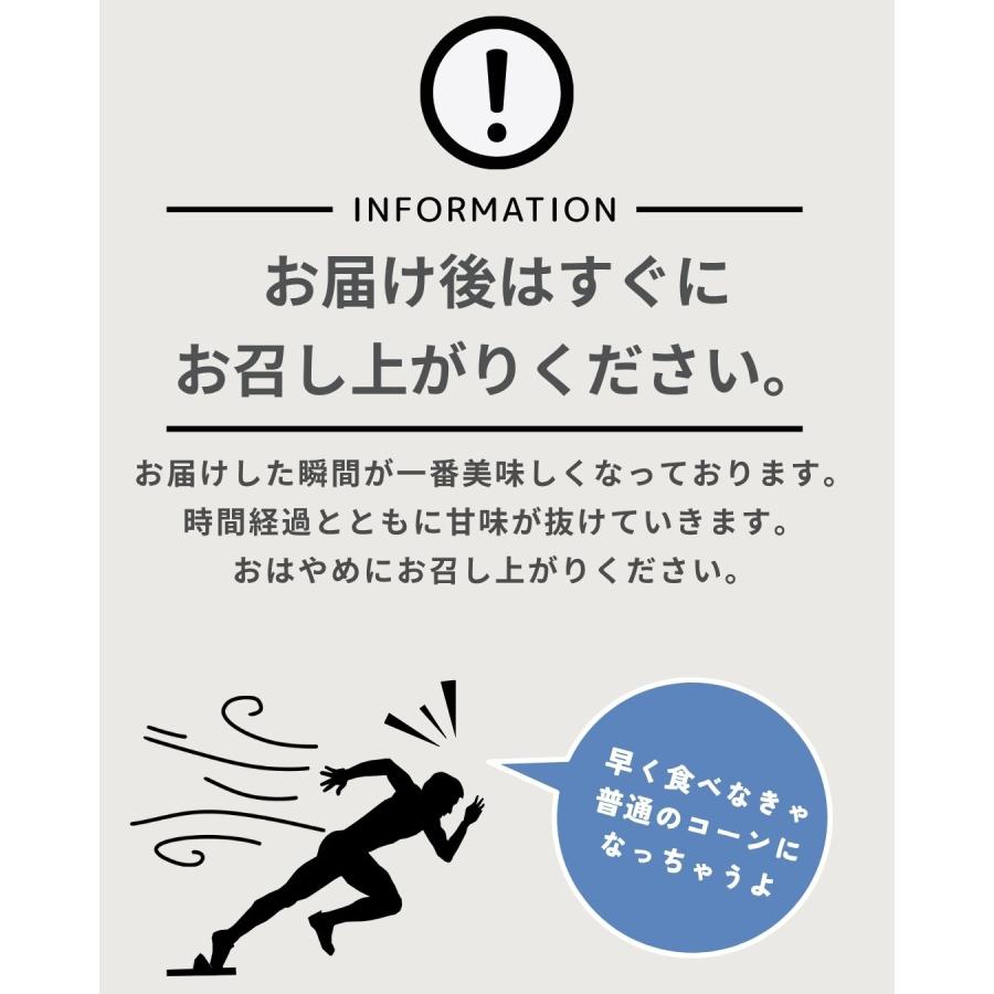 おひさまコーン 10本 スイートコーン とうもろこし 福井県産 生産者指定 産地直送 八百屋テクテクセレクション クール冷蔵便 |  | 09