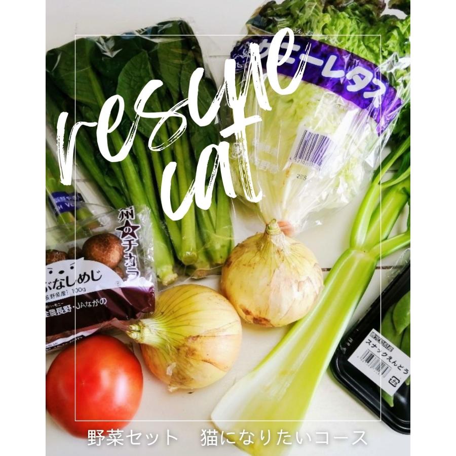 野菜セット 猫になりたいコース 保護猫支援 寄付金 10品目 旬の野菜詰め合せ 新鮮 産直 クール便 本州・四国は送料無料 八百屋テクテクセレクション |  | 03