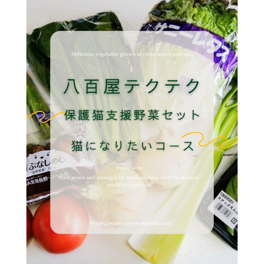 野菜セット 猫になりたいコース 保護猫支援 寄付金 10品目 旬の野菜詰め合せ 新鮮 産直 クール便 本州・四国は送料無料 八百屋テクテクセレクション |  | 04
