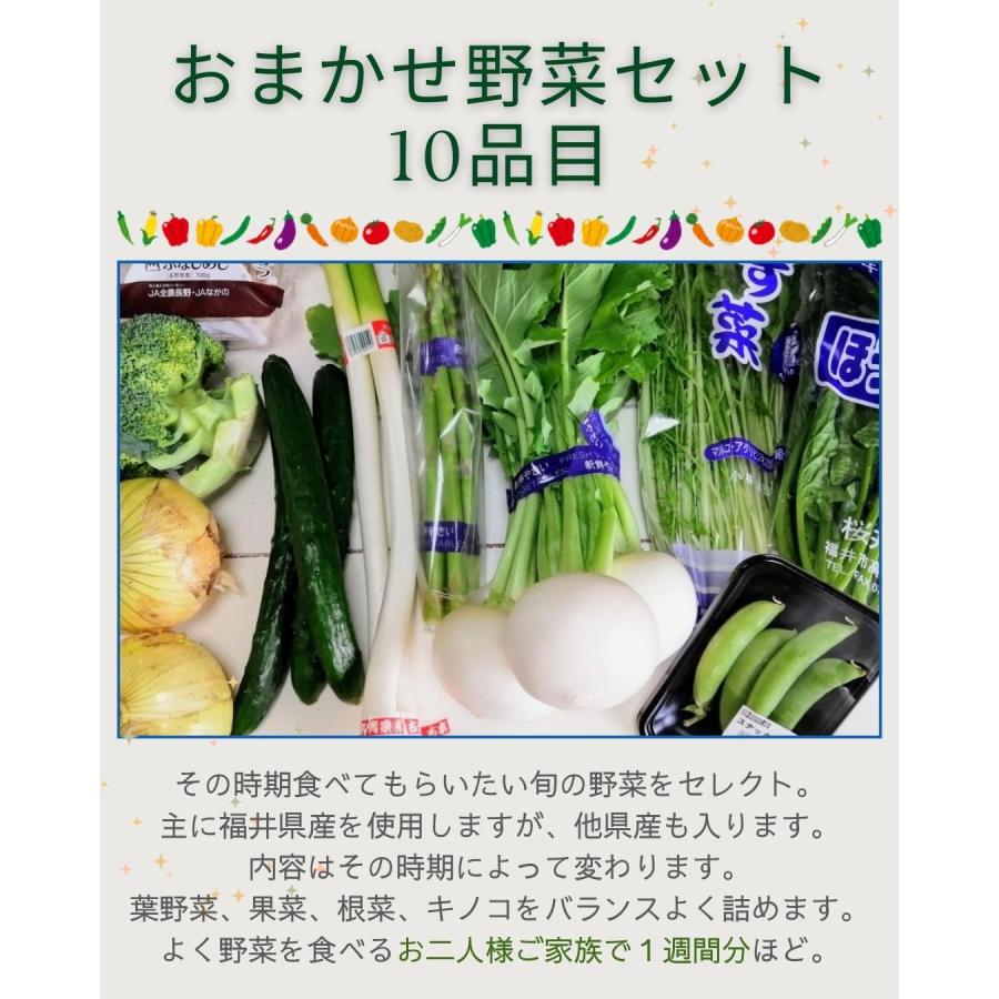 野菜セット 猫になりたいコース 保護猫支援 寄付金 10品目 旬の野菜詰め合せ 新鮮 産直 クール便 本州・四国は送料無料 八百屋テクテクセレクション |  | 05