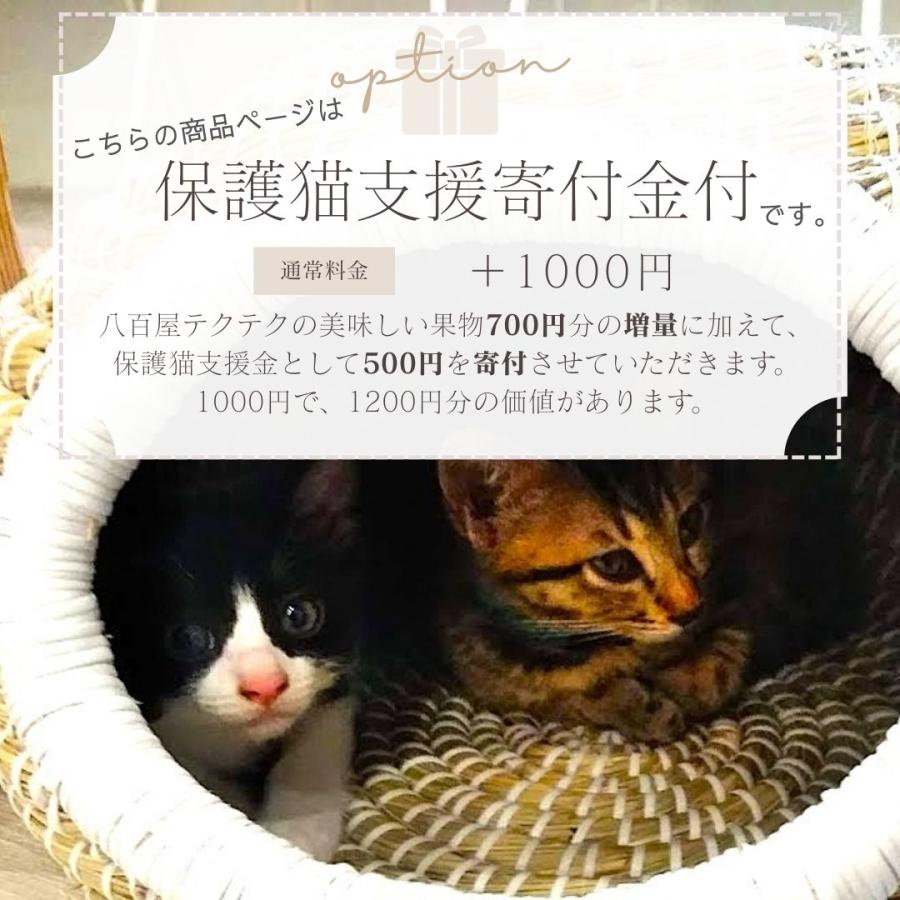 野菜果物セット ノドを鳴らす子猫コース 保護猫支援 寄付金 野菜10品目