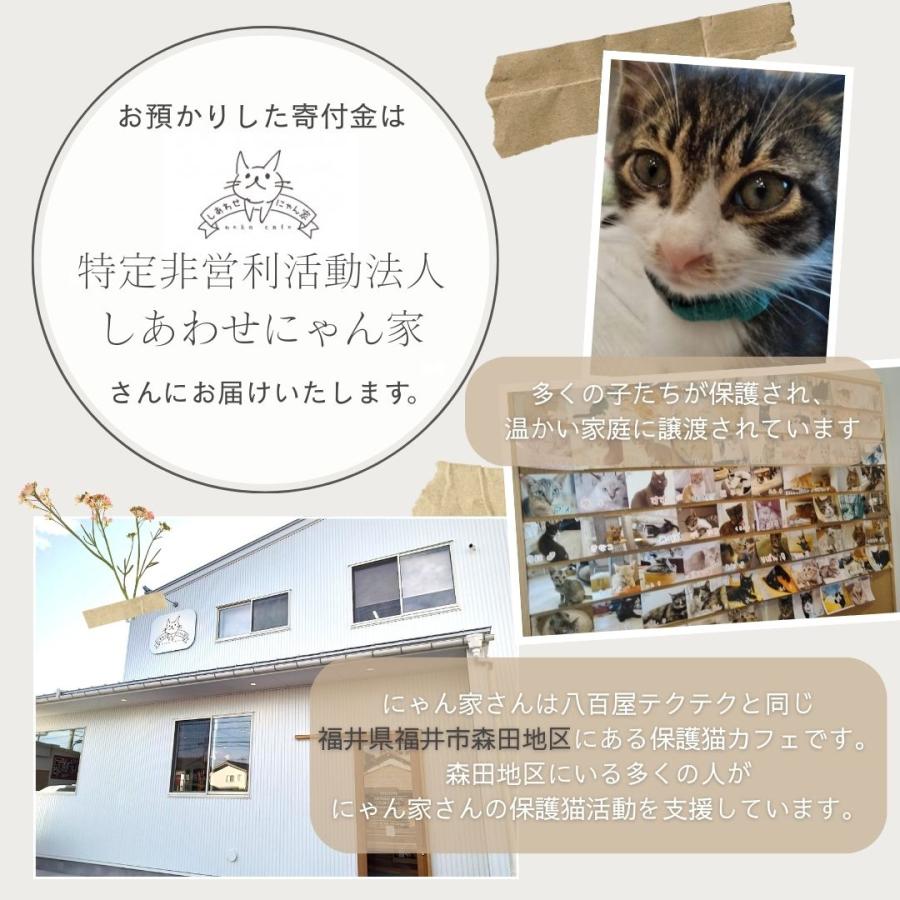 野菜果物セット ノドを鳴らす子猫コース 保護猫支援 寄付金 野菜10品目 