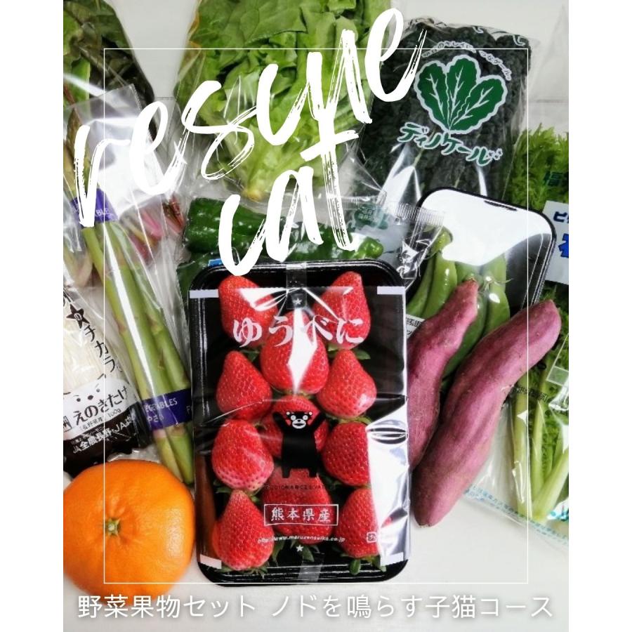 野菜果物セット ノドを鳴らす子猫コース 保護猫支援 寄付金 野菜10品目