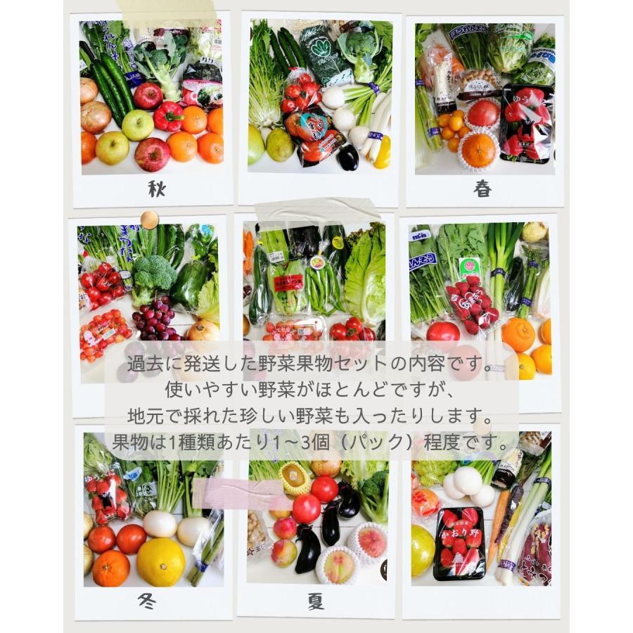 野菜果物セット ノドを鳴らす子猫コース 保護猫支援 寄付金 野菜10品目