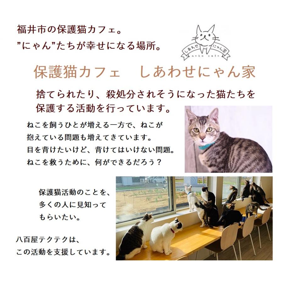初めての保護猫活動セット
