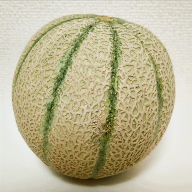 福井県産 マルセイユメロン 予約販売受付中 6月中旬頃より発送 食べごろ表示付き 赤肉メロン | 