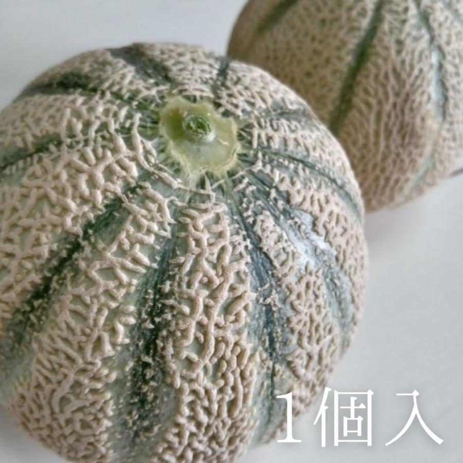 福井県産 マルセイユメロン 1個 予約販売受付中 6月下旬頃より発送 食べごろ表示付き 赤肉メロン 八百屋テクテクセレクション | 