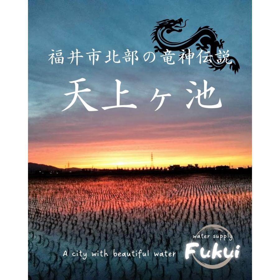 福井県産 マルセイユメロン 1個 予約販売受付中 6月下旬頃より発送 食べごろ表示付き 赤肉メロン 八百屋テクテクセレクション |  | 11