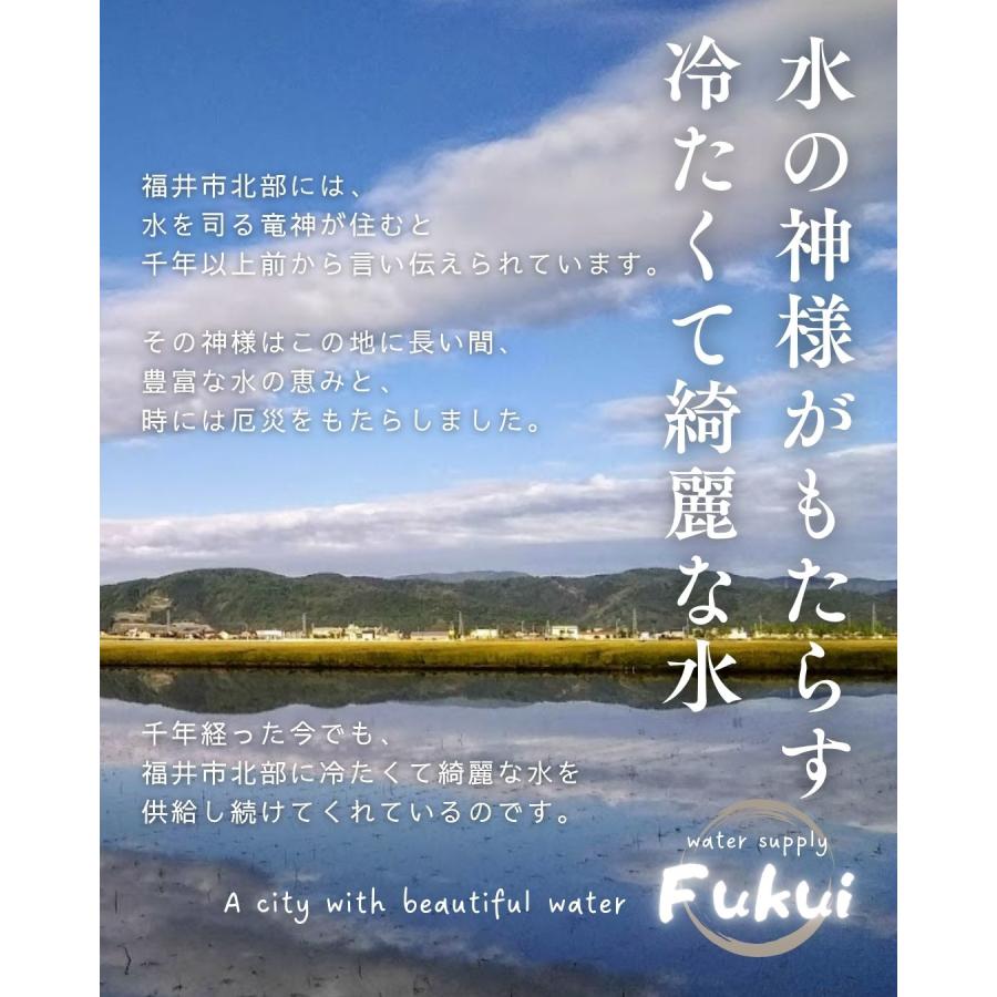 福井県産 マルセイユメロン 1個 予約販売受付中 6月下旬頃より発送 食べごろ表示付き 赤肉メロン 八百屋テクテクセレクション |  | 12