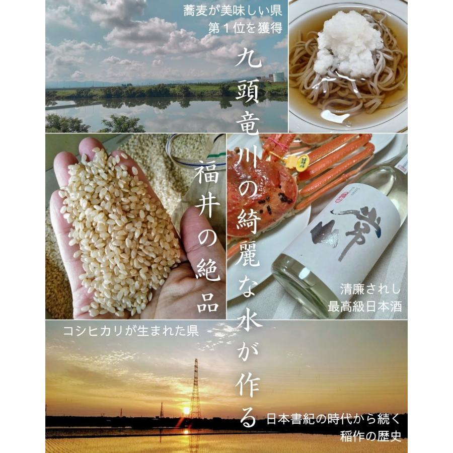 福井県産 マルセイユメロン 1個 予約販売受付中 6月下旬頃より発送 食べごろ表示付き 赤肉メロン 八百屋テクテクセレクション |  | 14