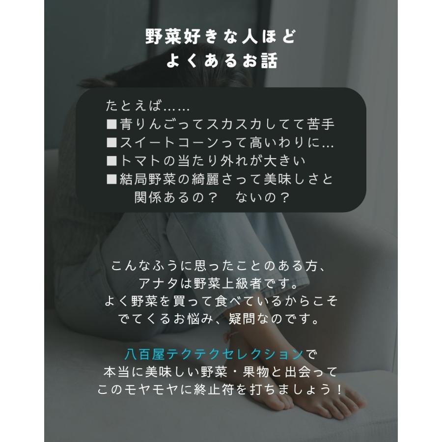 福井県産 マルセイユメロン 1個 予約販売受付中 6月下旬頃より発送 食べごろ表示付き 赤肉メロン 八百屋テクテクセレクション |  | 17