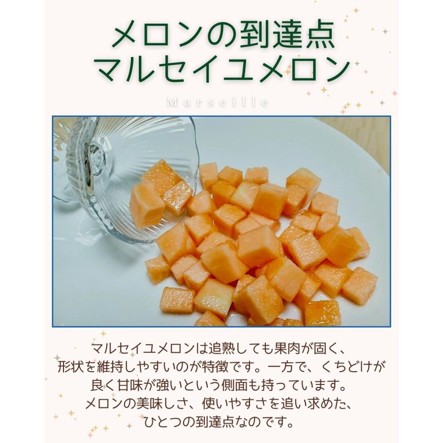 福井県産 マルセイユメロン 1個 予約販売受付中 6月下旬頃より発送 食べごろ表示付き 赤肉メロン 八百屋テクテクセレクション |  | 02