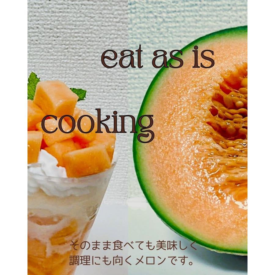 福井県産 マルセイユメロン 1個 予約販売受付中 6月下旬頃より発送 食べごろ表示付き 赤肉メロン 八百屋テクテクセレクション |  | 03