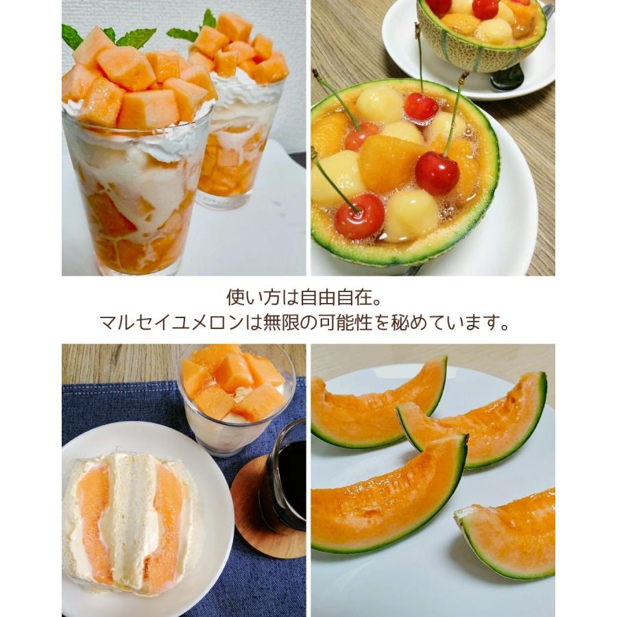 福井県産 マルセイユメロン 1個 予約販売受付中 6月下旬頃より発送 食べごろ表示付き 赤肉メロン 八百屋テクテクセレクション |  | 05