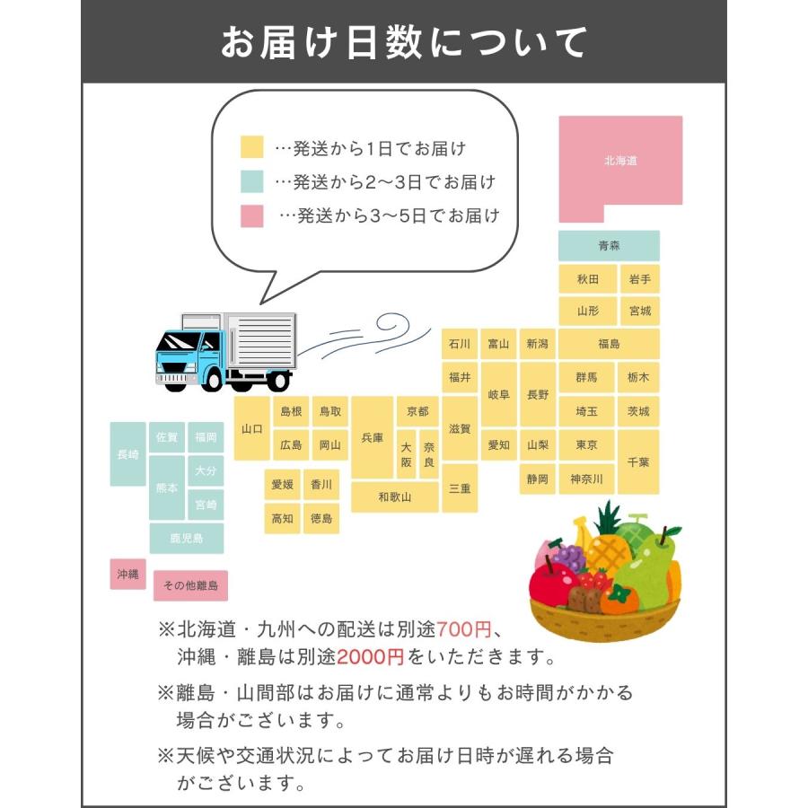 福井県産 マルセイユメロン 1個 予約販売受付中 6月下旬頃より発送 食べごろ表示付き 赤肉メロン 八百屋テクテクセレクション |  | 08