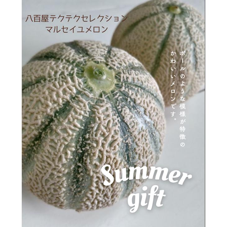 福井県産 マルセイユメロン 予約販売受付中 6月中旬頃より発送 食べごろ表示付き 赤肉メロン |  | 01