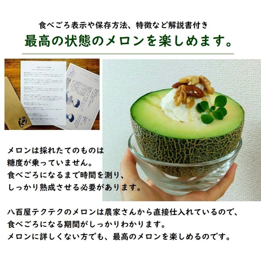 福井県産 マルセイユメロン 1個入 予約販売受付中 6月中旬頃発送 食べごろ表示付き 赤肉メロン 603 八百屋テクテク 通販 Yahoo ショッピング