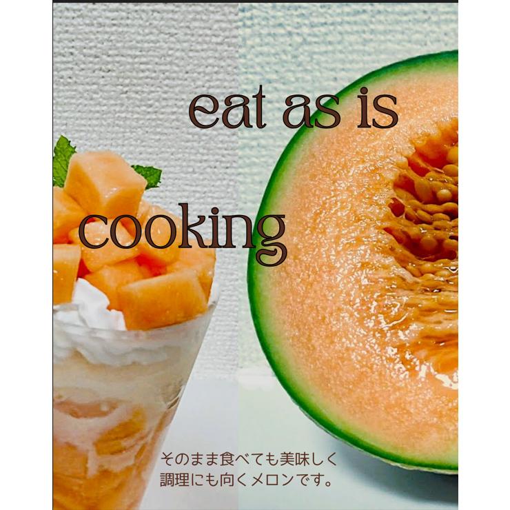 福井県産 マルセイユメロン 予約販売受付中 6月中旬頃より発送 食べごろ表示付き 赤肉メロン |  | 02