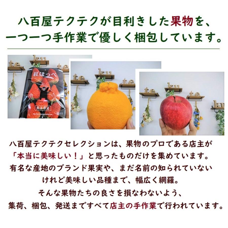 福井県産 マルセイユメロン 1個入 予約販売受付中 6月中旬頃発送 食べごろ表示付き 赤肉メロン 603 八百屋テクテク 通販 Yahoo ショッピング