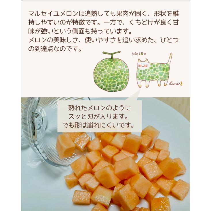 福井県産 マルセイユメロン 予約販売受付中 6月中旬頃より発送 食べごろ表示付き 赤肉メロン |  | 03