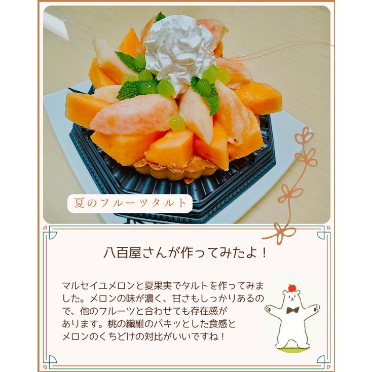 福井県産 マルセイユメロン 予約販売受付中 6月中旬頃より発送 食べごろ表示付き 赤肉メロン |  | 04