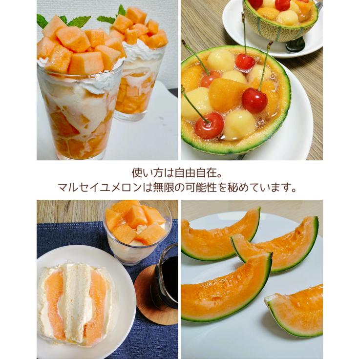 福井県産 マルセイユメロン 予約販売受付中 6月中旬頃より発送 食べごろ表示付き 赤肉メロン |  | 05