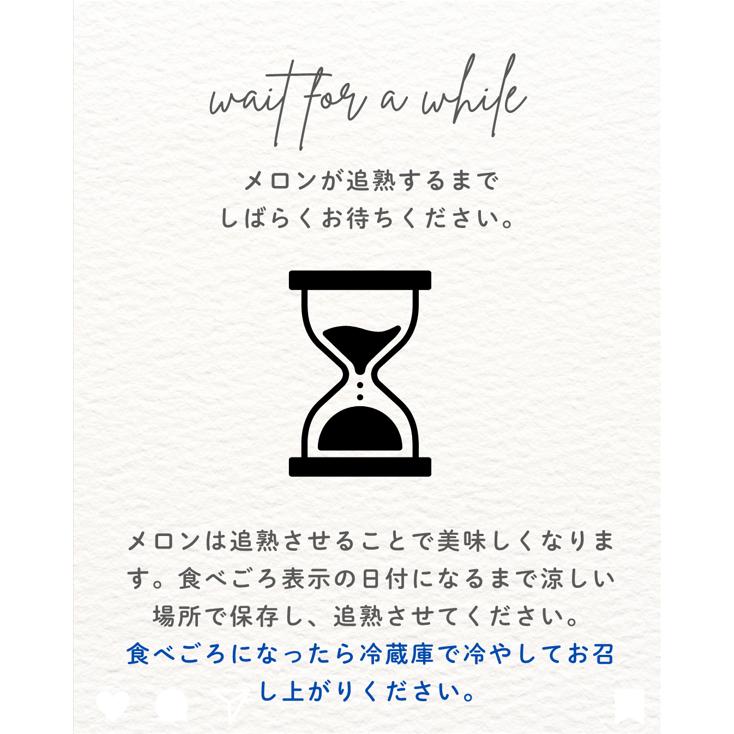 福井県産 マルセイユメロン 予約販売受付中 6月中旬頃より発送 食べごろ表示付き 赤肉メロン |  | 07