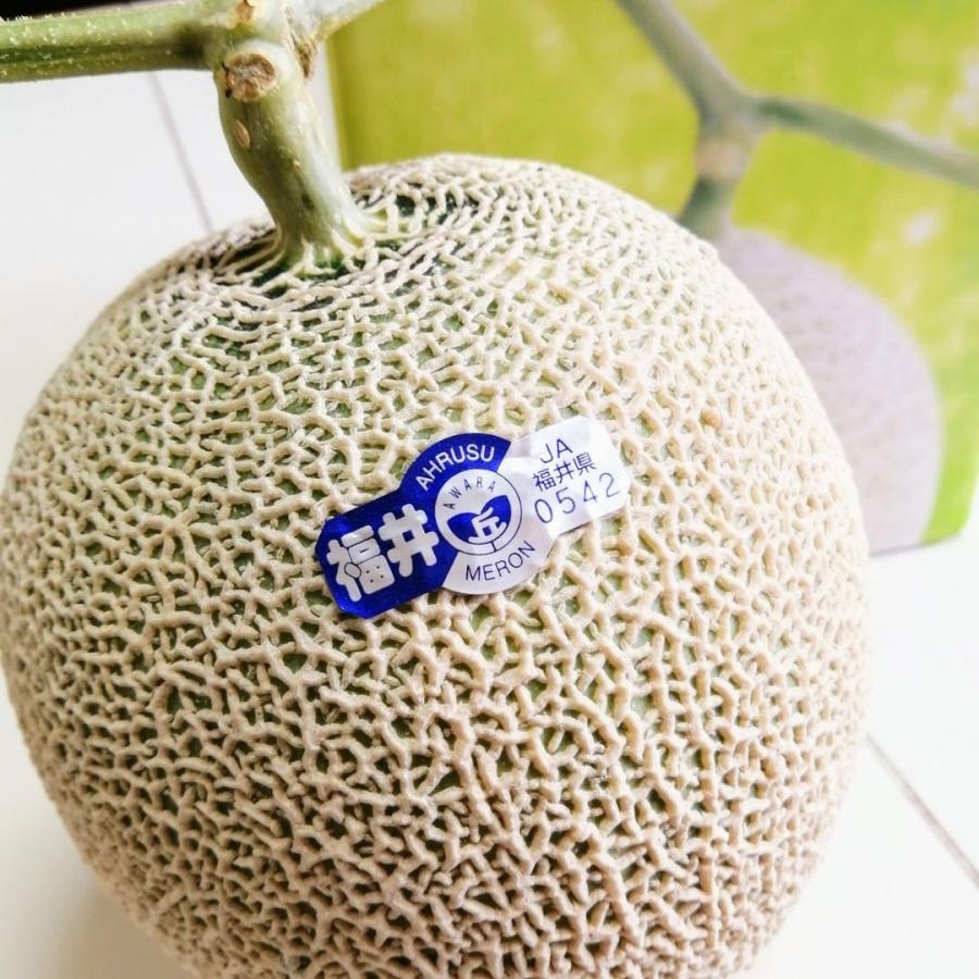 福井県産 アールスメロン 予約販売受付中 初夏は6月下旬頃より発送 秋は10月中旬頃より発送 食べごろ表示付き 青肉メロン | 