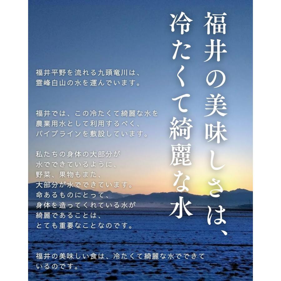 福井県産 アールスメロン 予約販売受付中 初夏は6月下旬頃より発送 秋は10月中旬頃より発送 食べごろ表示付き 青肉メロン |  | 11