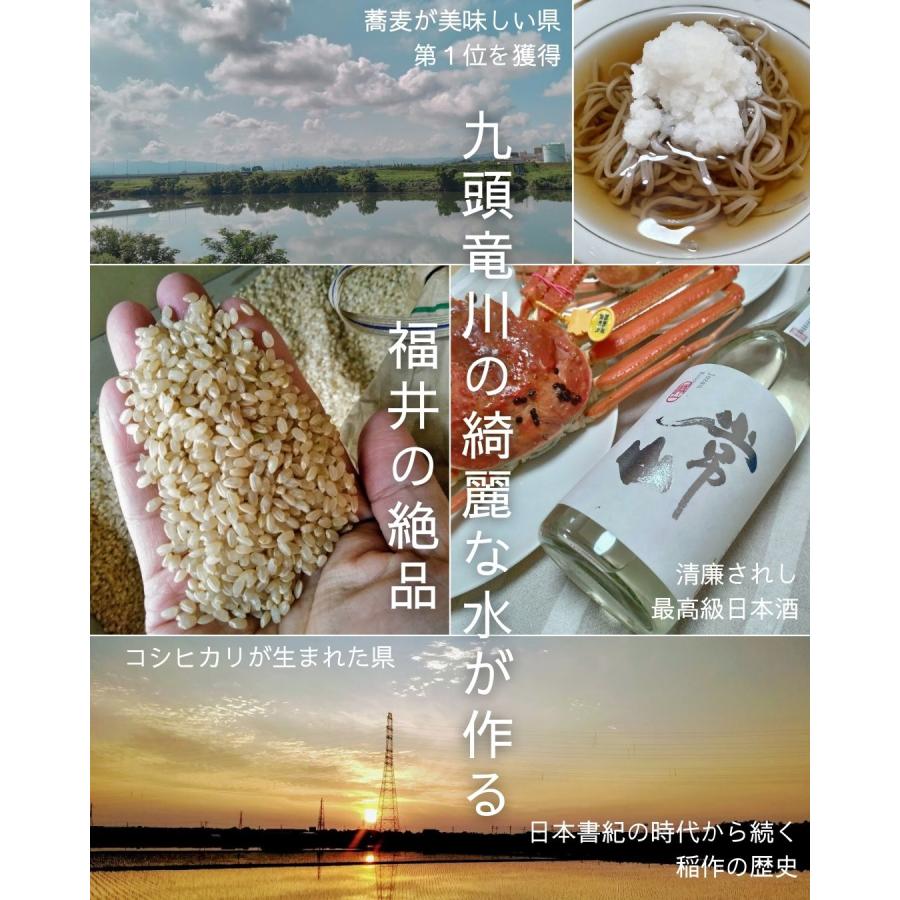 福井県産 アールスメロン 予約販売受付中 初夏は6月下旬頃より発送 秋は10月中旬頃より発送 食べごろ表示付き 青肉メロン |  | 12