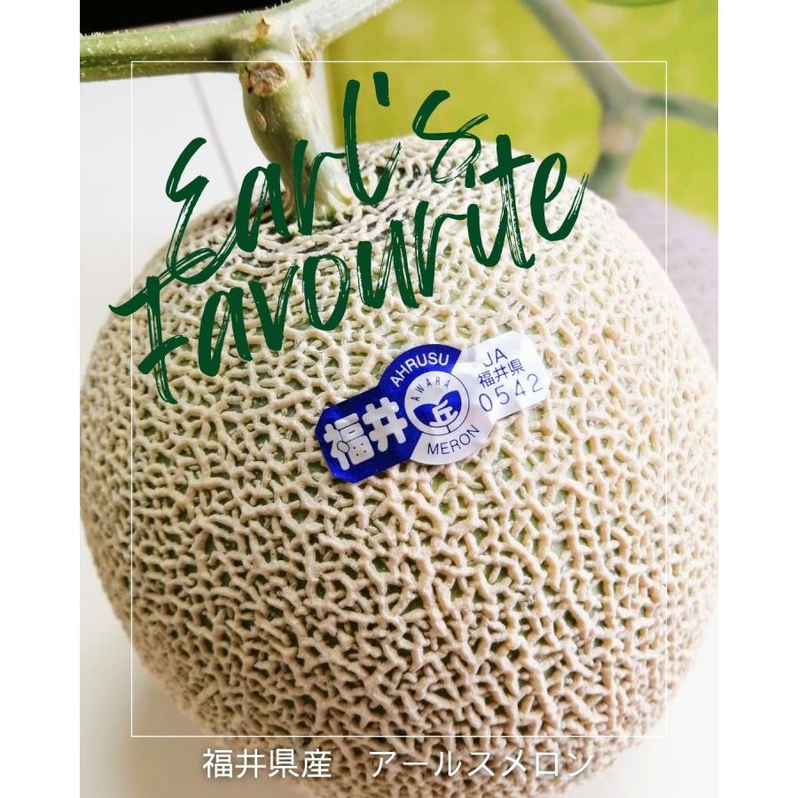 福井県産 アールスメロン 予約販売受付中 初夏は6月下旬頃より発送 秋は10月中旬頃より発送 食べごろ表示付き 青肉メロン |  | 01