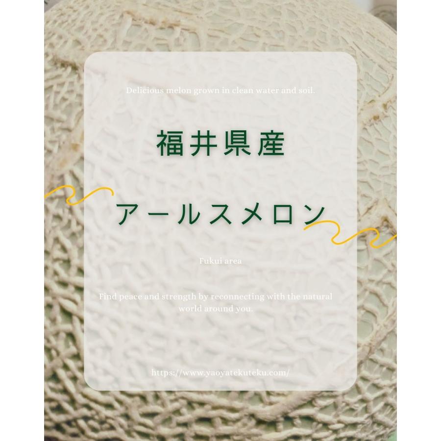 福井県産 アールスメロン 予約販売受付中 初夏は6月下旬頃より発送 秋は10月中旬頃より発送 食べごろ表示付き 青肉メロン |  | 02