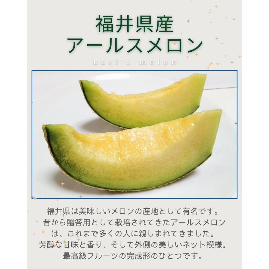 福井県産 アールスメロン 予約販売受付中 初夏は6月下旬頃より発送 秋は10月中旬頃より発送 食べごろ表示付き 青肉メロン |  | 03