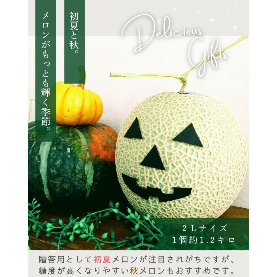 福井県産 アールスメロン 予約販売受付中 初夏は6月下旬頃より発送 秋は10月中旬頃より発送 食べごろ表示付き 青肉メロン |  | 05