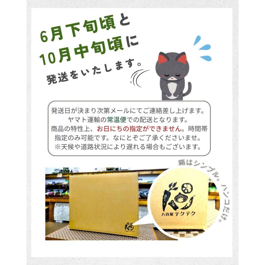 福井県産 アールスメロン 予約販売受付中 初夏は6月下旬頃より発送 秋は10月中旬頃より発送 食べごろ表示付き 青肉メロン |  | 08