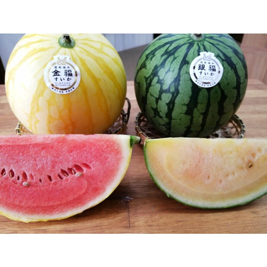 福井県産 金福すいか 銀福すいか 各1個入 2個セット 6月下旬頃より発送 ギフト 贈答用 609 八百屋テクテク 通販 Yahoo ショッピング