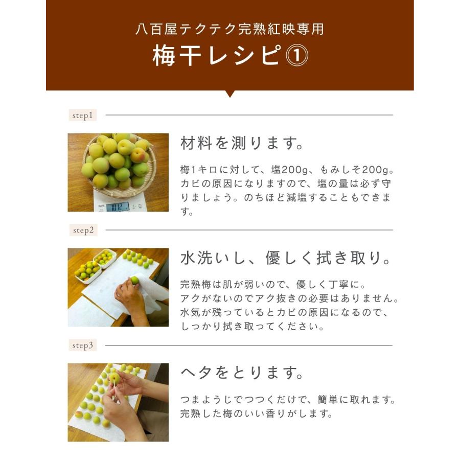 福井県産紅映梅 約2kg 梅干用 クール便 予約販売受付 6月下旬頃発送 大きさおまかせ うめ 青梅 生梅 八百屋テクテクセレクション |  | 13
