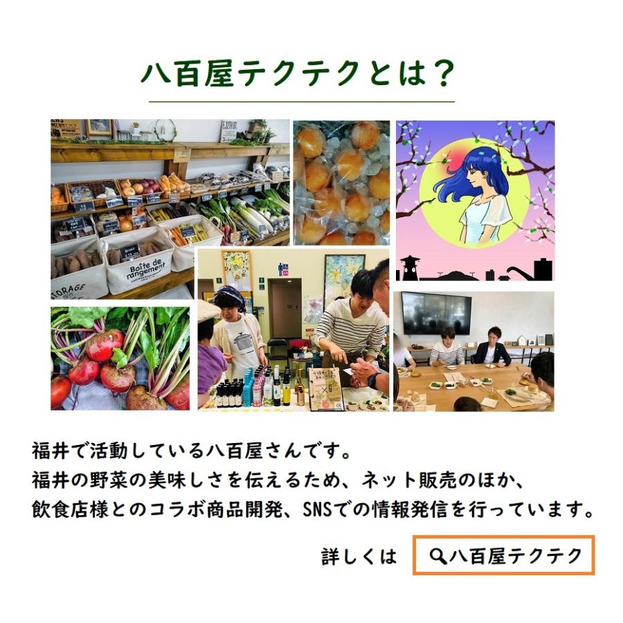 【モモ】福井県産　紅映梅（２L）10キロ 福井県産紅映梅 約2kg 梅干し用 予約販売受付 6月下旬頃発送
