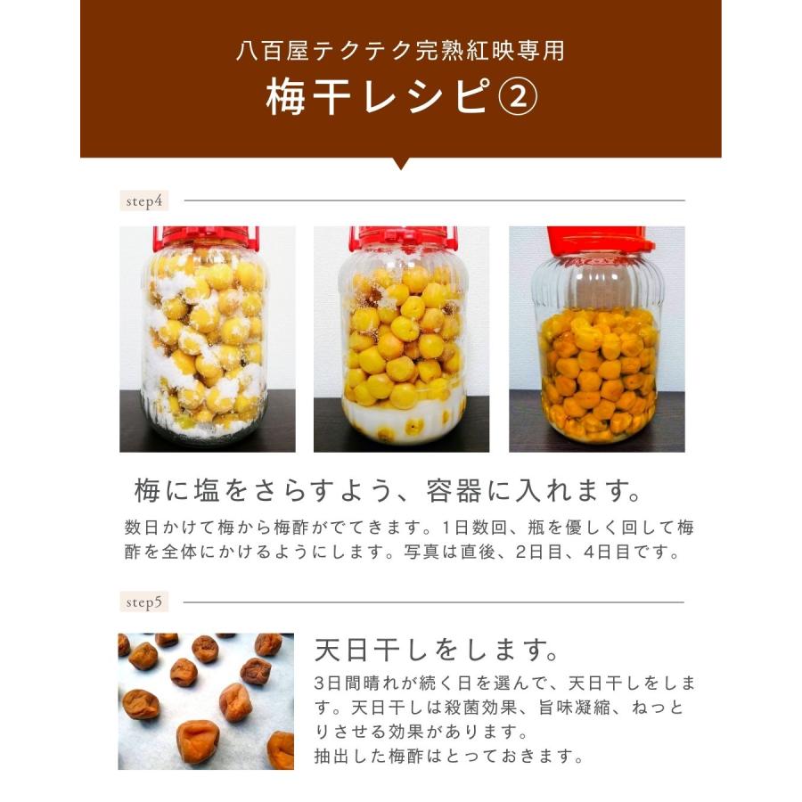 福井県産紅映梅 約3kg 梅干用 クール便 予約販売受付 6月下旬頃発送